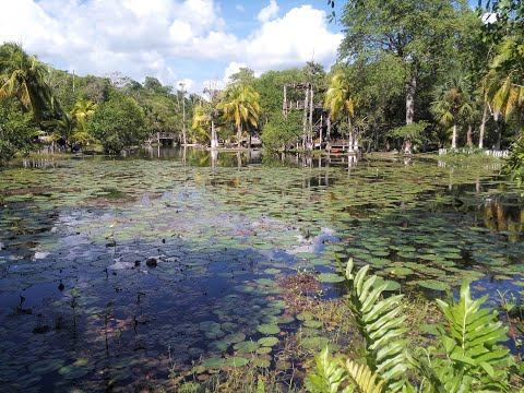 Preservar patrimonio biocultural requiere sinergia entre especialistas y pobladores
