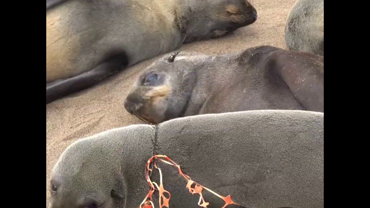 Here Are 7 Easy Single-Use Plastics You Can Stop Using NOW