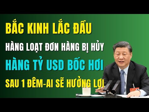 Cú Sốc Từ Trung Quốc: Hàng loạt Đơn hàng bị hủy, Hàng Tỷ USD Bốc Hơi Sau...