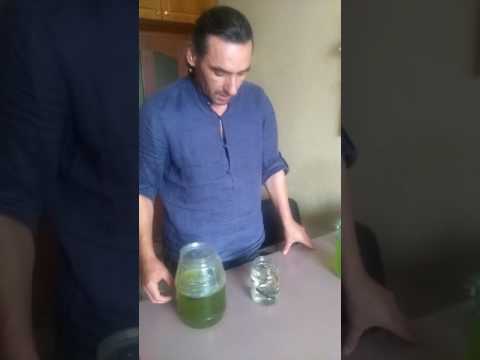 Video: Infusoria Ayakkabısı: üreme Yapısı Ve Yöntemleri