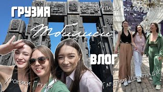 видео: Влог из Грузии: Хроники Грузии, Гардения Шеварнадзе, Черепашье озеро, нестандартные места в Тбилиси картинка: Влог из Грузии: Хроники Грузии, Гардения Шеварнадзе, Черепашье озеро, нестандартные места в Тбилиси