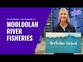 Innovative and Sustainable Packaging to Seafood Industry with Unicor