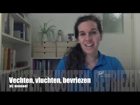 Video: 3 manieren om bevriezing te herkennen