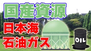 日本海に眠る『国産資源』について【岩船沖油ガス田】