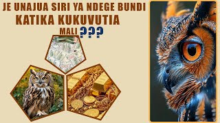 JE UNAJUA SIRI YA NDEGE BUNDI KATIKA KUKUVUTIA MALI HII NI HATARI SANA#ibn_ruhy #dr_sagai