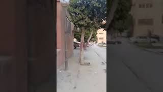 شقه للبيع مدينة ١٥ مايو بحلوان