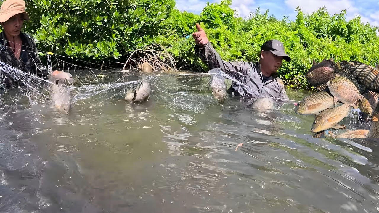 Phần 4 : Hành Trình Bạc Liêu - Cà Mau Trải Nghiệm Bắt Cua Bắt Cá || Giang Ca SB # 38