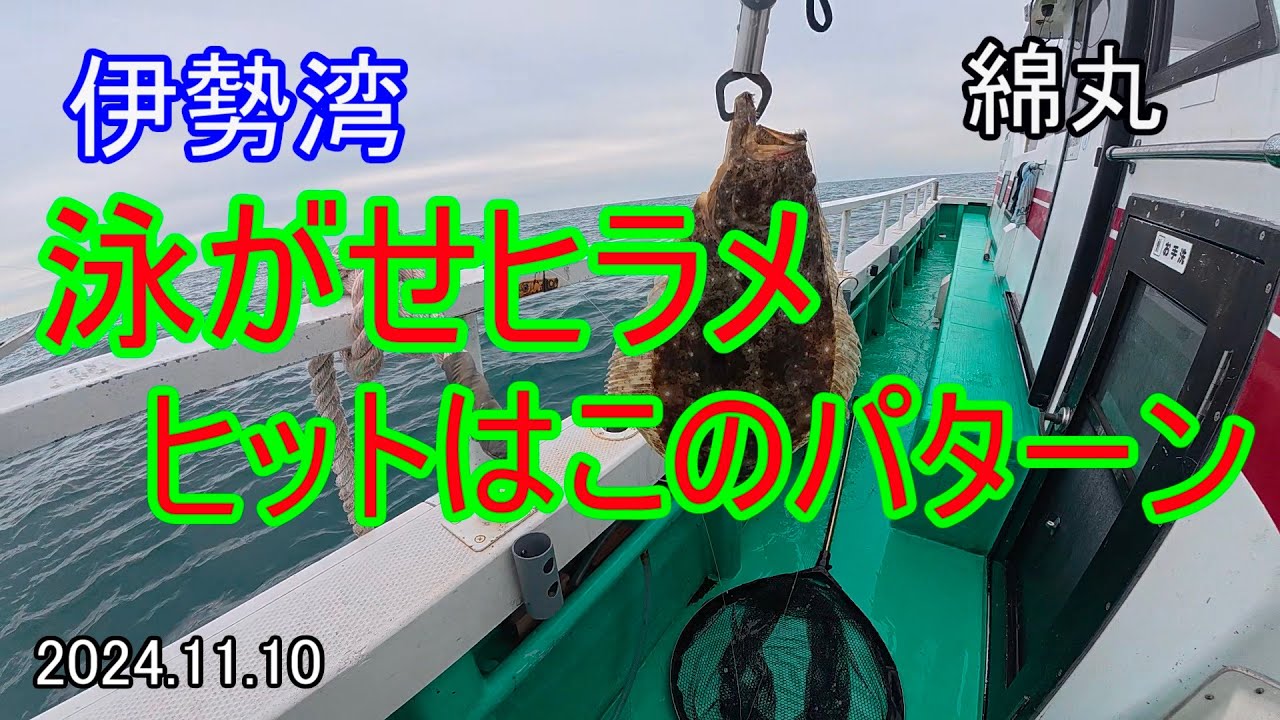 【伊勢湾】泳がせヒラメ　ヒットはこのパターン　2024 11 10