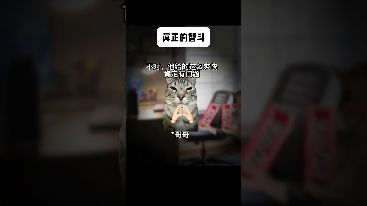 这才是真正的智斗 #猫meme #兄弟情 #离谱操作 #哥哥与弟弟 #智斗
