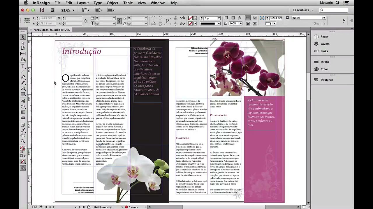 Criando Agendas no InDesign › Clube do Design 🤓