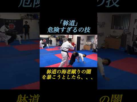 【躰道の達人】の海老蹴りの闇を暴こうとしたら骨が、、、