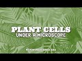 Plant Cells Under a Microscope - MicroWonder Series S2E2 | Nano Labs 🧪