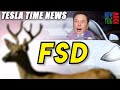 Tesla Time News - Tesla FSD; Deer and Darkness