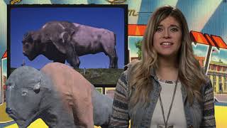 North Dakota Fun Facts