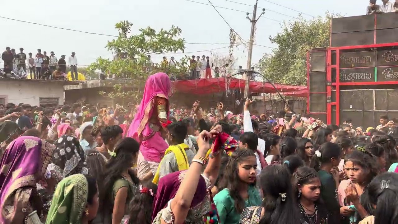 अरविंद घोड़ा धमाकेदार 🥰 वीडियो Arvind ghoda  अरविंद म्यूजिकल बैंड झोपाली 🐴🐴🐴🐴🐴🐴