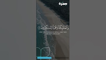 ولله يسجد ما في السموات والأرض | #ياسر_الدوسري #سورة_النحل #quran #اكسبلور قراءة مؤثرة #قرآن