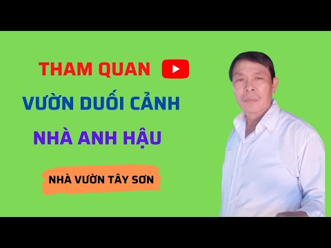 Video Tham quan vườn duối cảnh nhà anh Hậu - youtube
