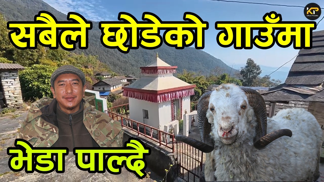 सबैले छोडेको रित्तो गाउँमा भेडा पाल्ने किसान भन्छन् 'सबैलाई गाउँ फर्काउने अभियानमा छौं '|kiranpaudel