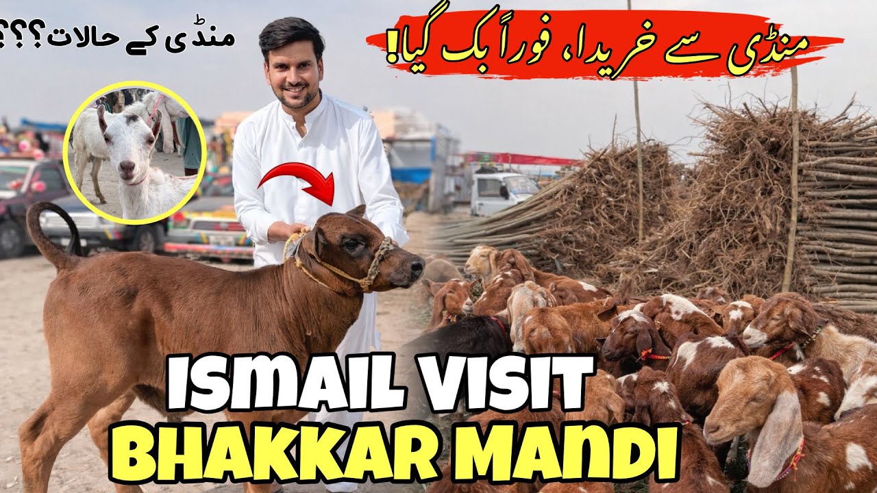 ismail jutt Visit bhakkar Mandi