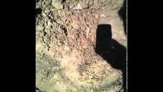 Img 2240 Poisoned Earth Warning Toxic Site Coverup 2192 2194 E Corson St Pasadena Ca 91107 Iphone