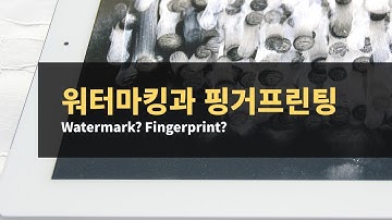 워터마킹과 핑커프린팅