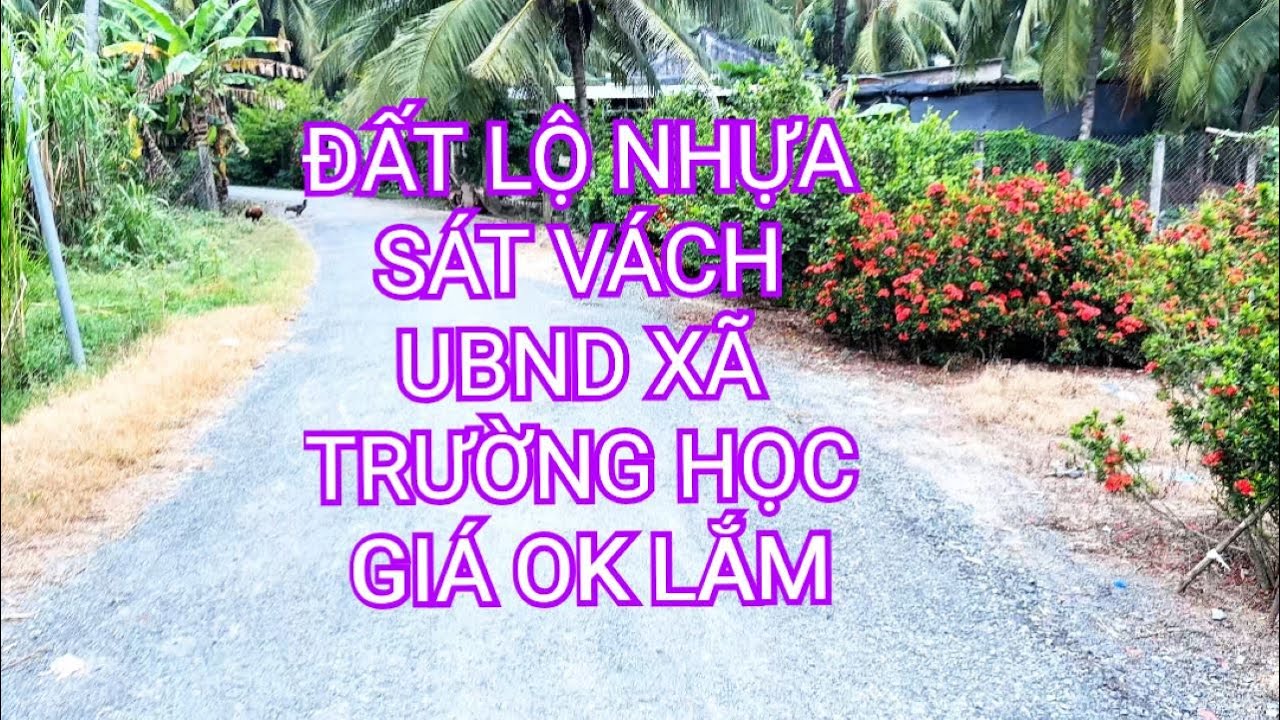 nhà đất tiền giang | kẹt tiền anh Hậu XẢ LỔ lô đất SÁT VÁCH UBND xã giá 350 triệu | bán đất giá rẻ