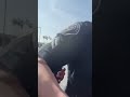 Police Shorts #4 - Women Gone Wild
