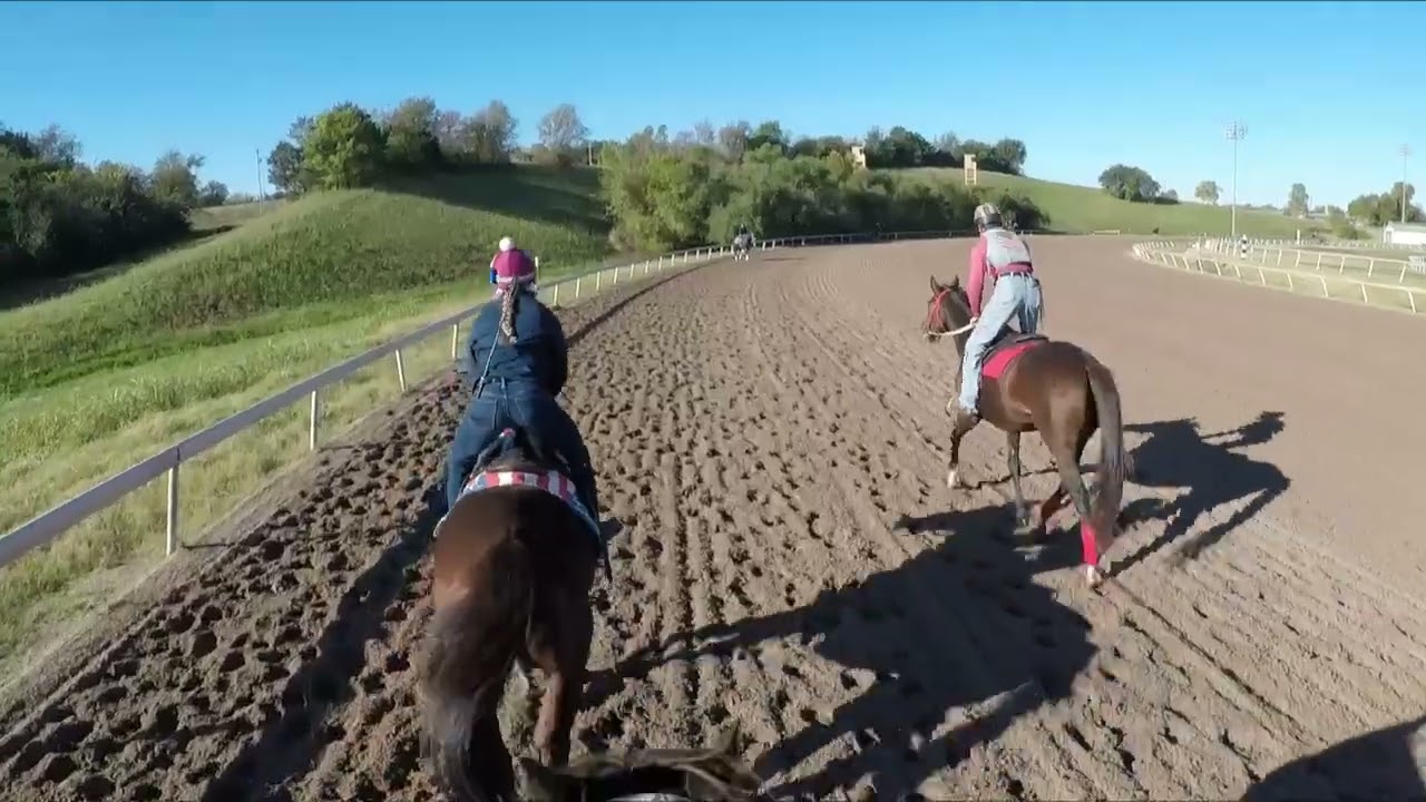 Savvy, Thunder & Princess  October 30th, 2025