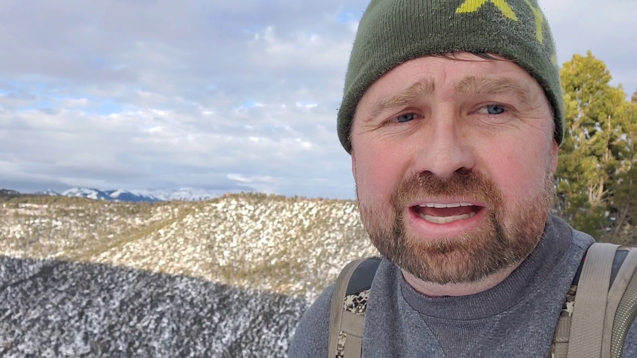 Lion hunting in Colorado 