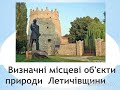 Визначні місцеві об&#39;єкти природи Летичівщини