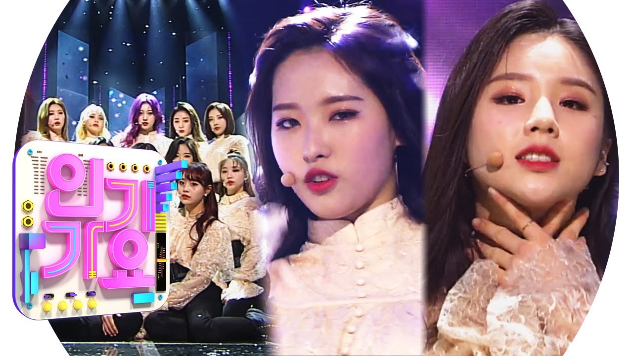 ARTMS LOONA シーグリ　2023 予約特典　ポラトレカ　キムリプ LOONA シーグリ 2023 予約特典 ポラトレカ キムリプ LOONA ARTMS