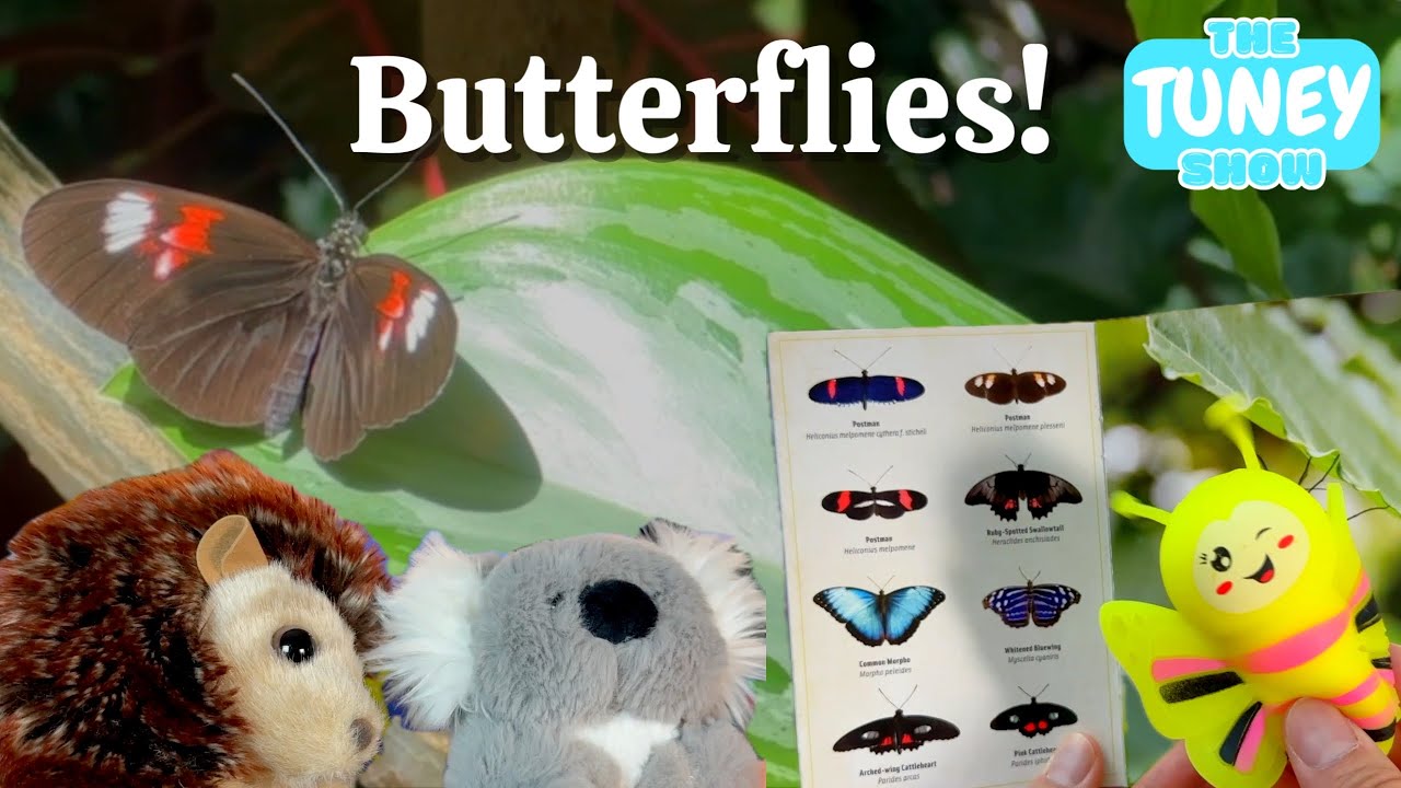 Cute Mystery Toy opening, and Special Exhibit with real life Butterflies! | Meijer Gardens