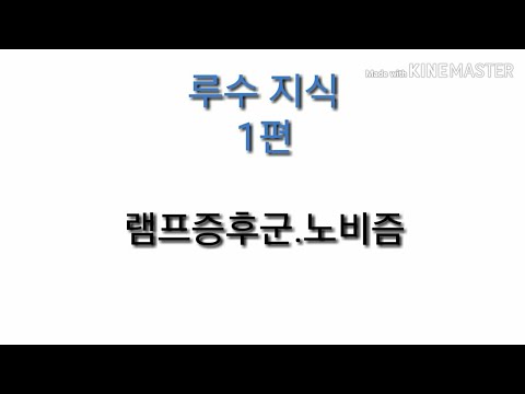 루수루수 지식1편 (램프증후군,노비즘)