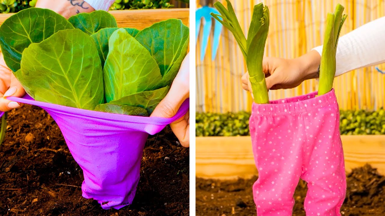 Useful Hacks to Make Gardening Easier - YouTube