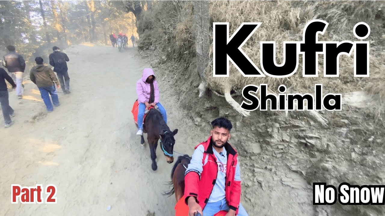 The Family Fun: Horse Riding & Himalayan Views! 🐎 Kufri Family Trip | Part 2
