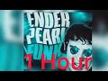 ENDER PEARL FUNK 1 Hour