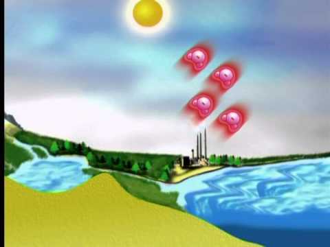 Energy Transfers in the Water Cycle - YouTube