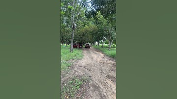 Prv audio 12Mr2000 D4400PH D4400Ti