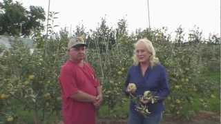 U Pick Apples at Hermans Farm Orchard with Tom Goeke and Janis Murray