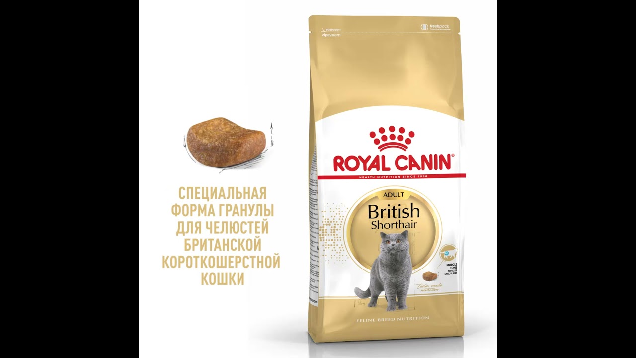 Royal Canin British Shorthair Adult сухой корм для взрослых кошек породы британская короткошерстная