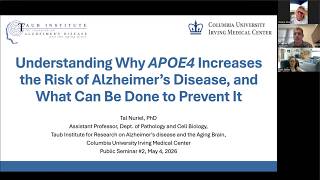 Understanding Why APOE4 Increases the Risk of Alzheimer's Disease and What Can Be Done to Prevent It