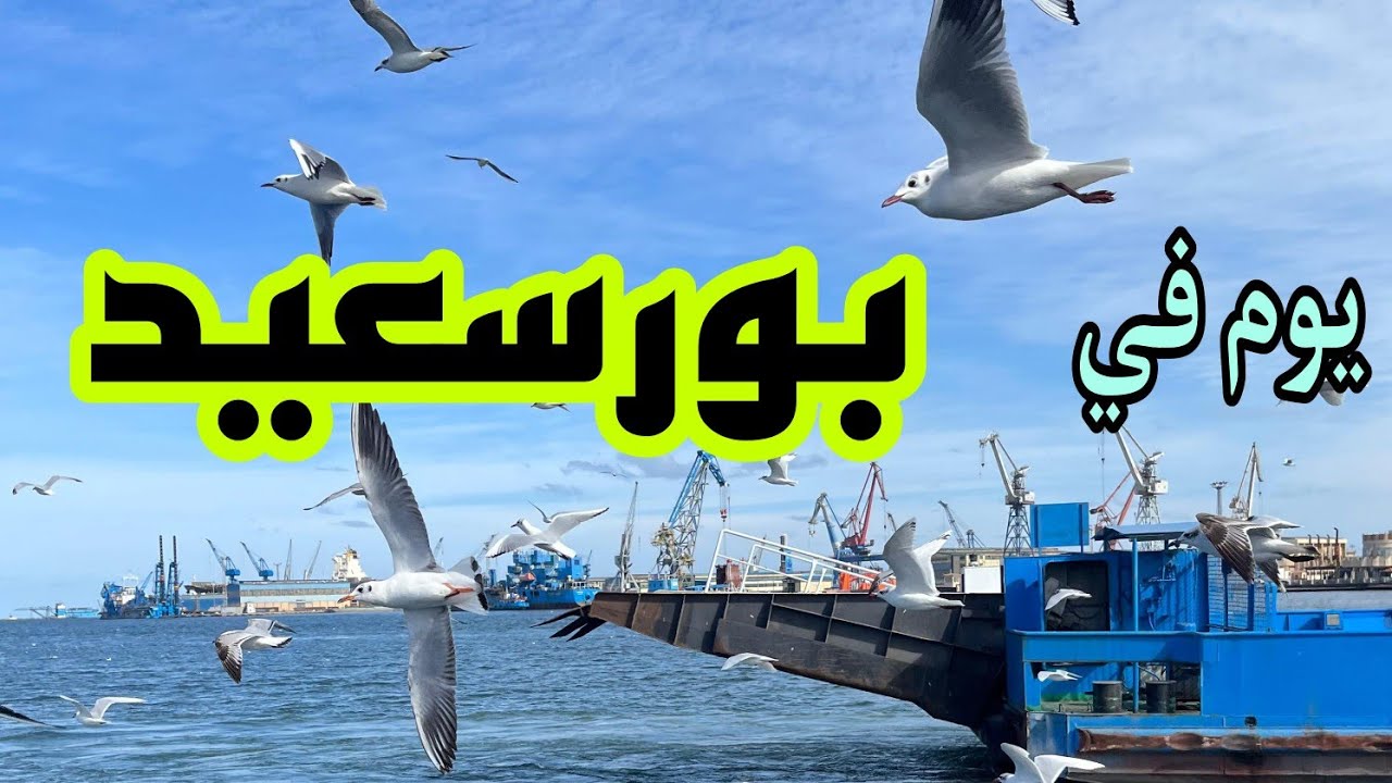 تعالوا نقضي يوم في بورسعيد 💯 تروح فين وتاكل آية هناك بأقل تكلفة #بورسعيد #جبل_الملح