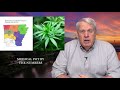 Today in Arkansas: Asa tells highway lobby hands off general revenue