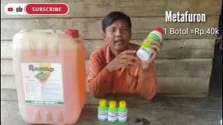 TERBARU cara naikkan dosis Roundup || Petani wajib coba