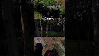 Лесные прогулки лечат душу 🌳 #эстетика #лайфстайл