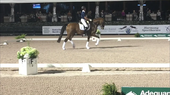 Carl Hester Masterclass:  Building Blocks of a Mag...