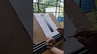 Gray scale Assignment 🤍🎨 #artpainting #assignment #grayscale #artist #artwork