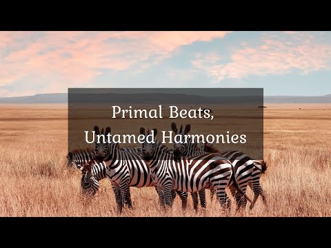 Primal Beats, Untamed
