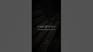 تلاوه من سورة الواقعة|بصوت الشيخ إدريس أبكر🎧♥️#trending #quran #قران_كريم #راحة_نفسية #قرآن