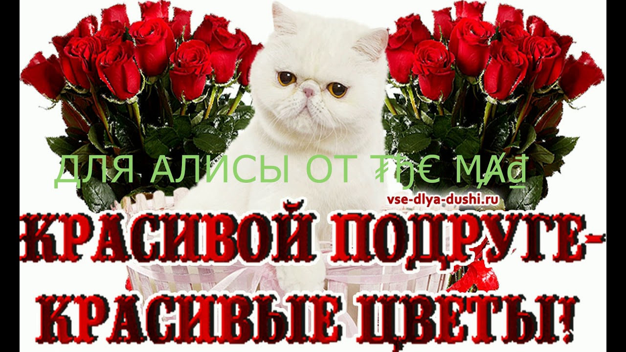 День Рождения Комментария К Фото